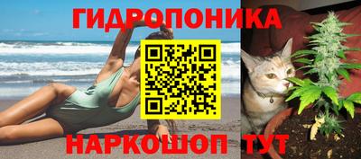 сатива Северобайкальск