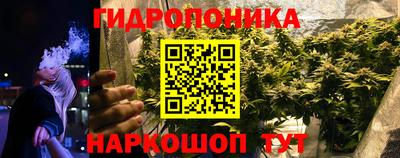 сатива Северобайкальск