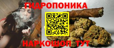 сатива Северобайкальск