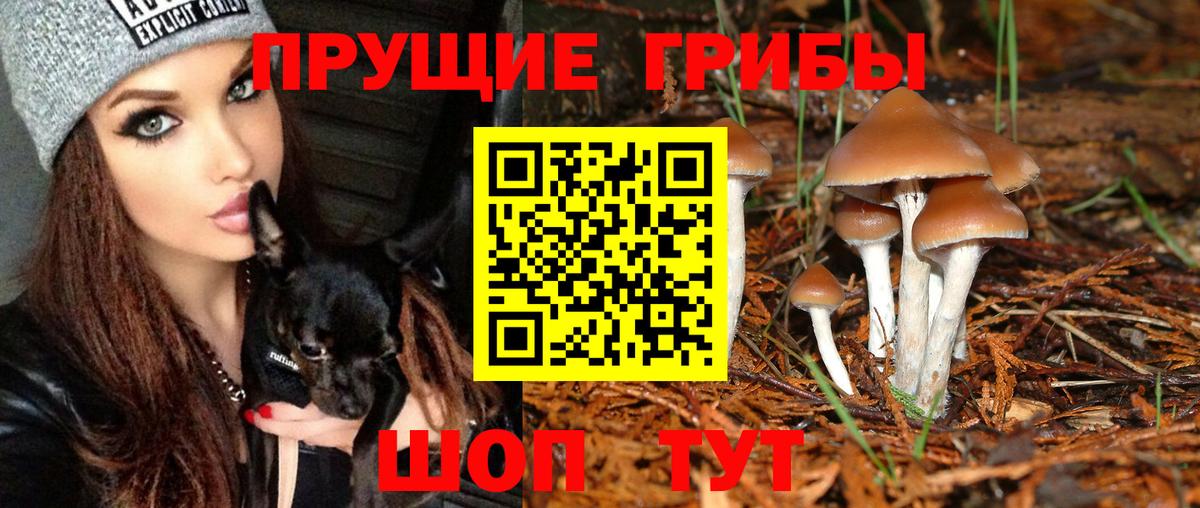 Псилоцибиновые грибы мухоморы Можайск